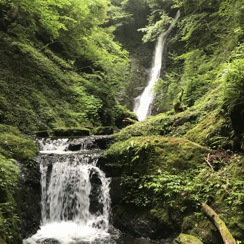 野鹿の滝