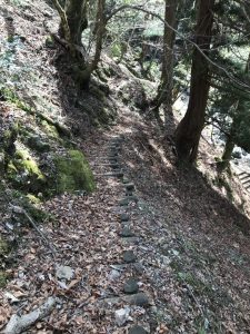 野鹿の滝　歩道